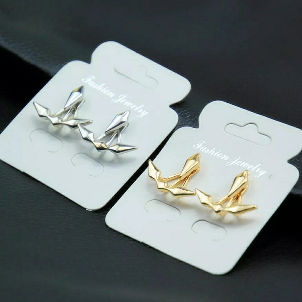 5 for $25 Silver Color Double Sided Earrings - Picture 2 of 3